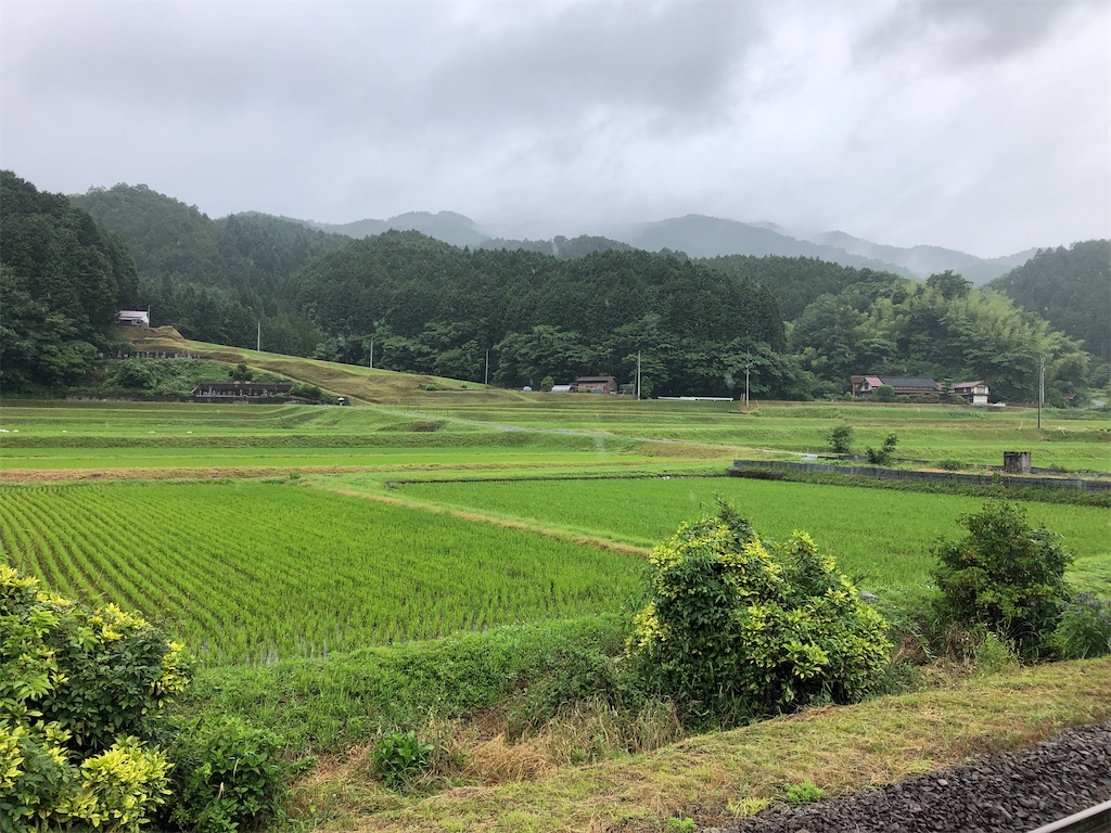f:id:hayato774:20220618002117j:image f:id:hayato774:20220618002117j:image