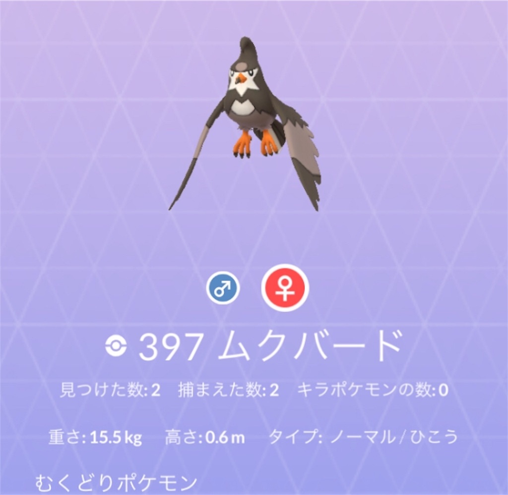f:id:hayoneko:20181230222011j:image f:id:hayoneko:20181230222011j:image