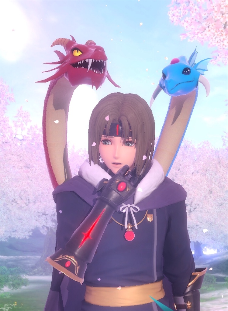 f:id:hayoneko:20190118002018j:image