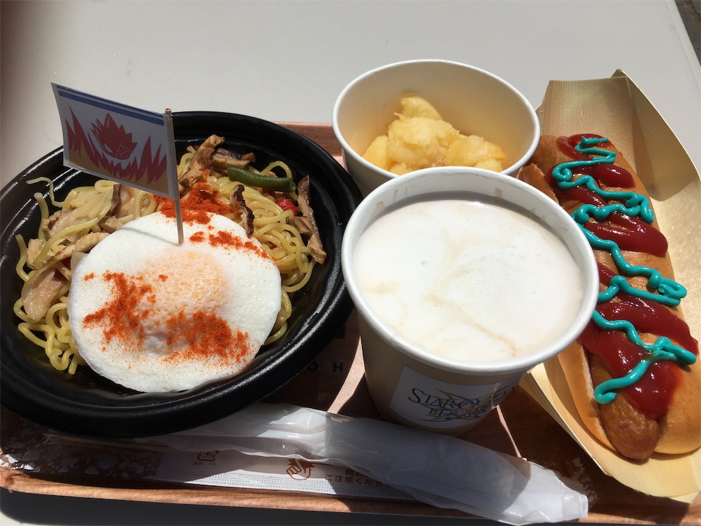 f:id:hayoneko:20190526094404j:image
