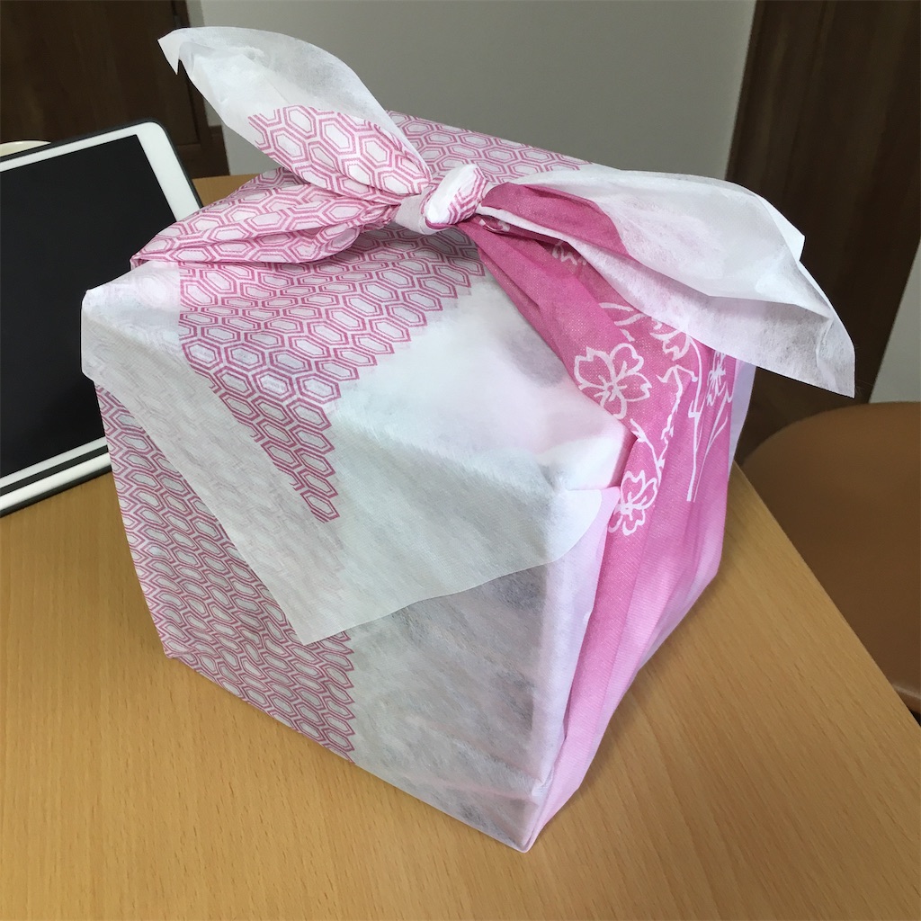 f:id:hayoneko:20210102193000j:image
