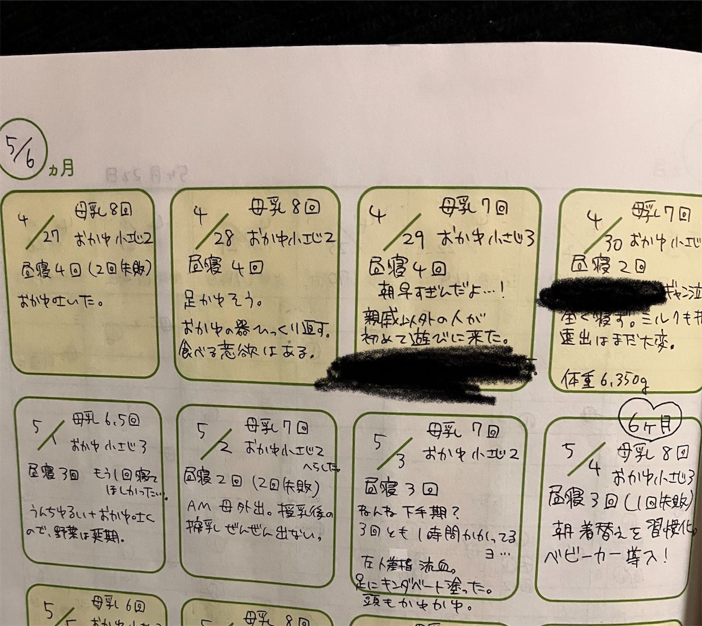 f:id:hayoneko:20230429223439j:image