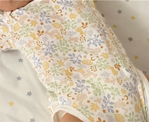f:id:hayoneko:20230929092757j:image