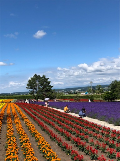 f:id:hazakura60:20210712193106j:image