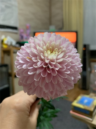 f:id:hazakura60:20211020191657j:image