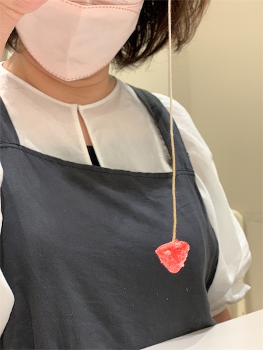 f:id:hazakura60:20211103183254j:image
