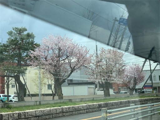 f:id:hazakura60:20220502162050j:image
