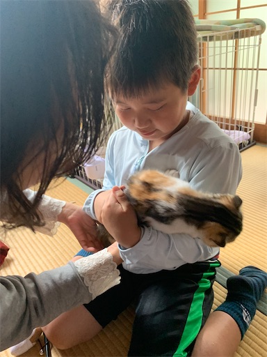 f:id:hazakura60:20220828190342j:image