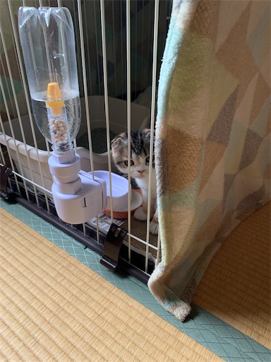 f:id:hazakura60:20220830190819j:image