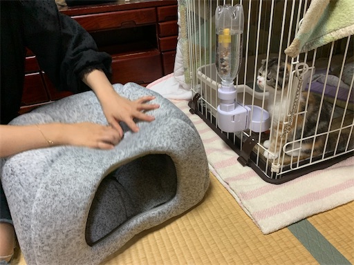f:id:hazakura60:20220904160926j:image