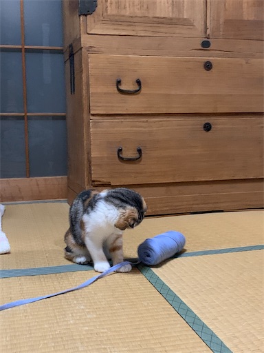 f:id:hazakura60:20220928184154j:image