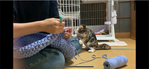 f:id:hazakura60:20220928184404p:image