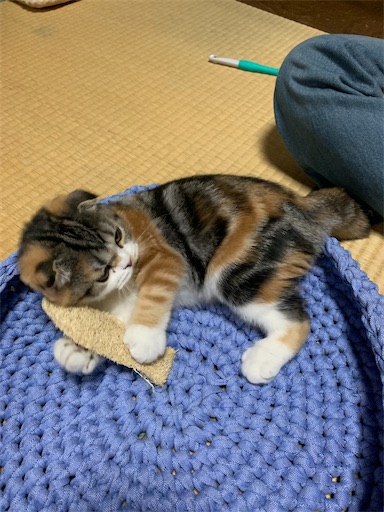 f:id:hazakura60:20220928184553j:image