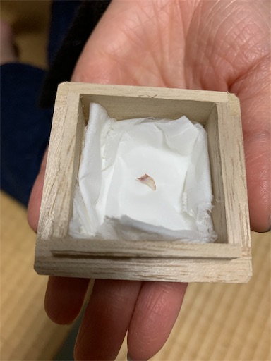f:id:hazakura60:20221020183833j:image