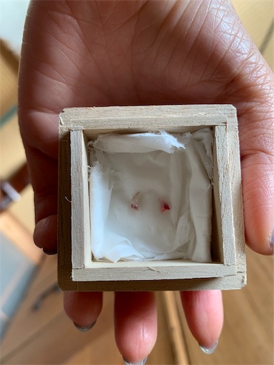 f:id:hazakura60:20221020184200j:image