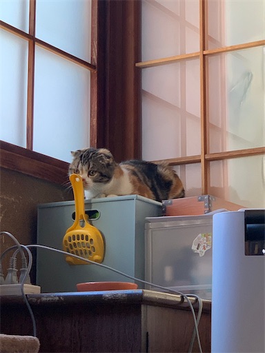 f:id:hazakura60:20230118175902j:image