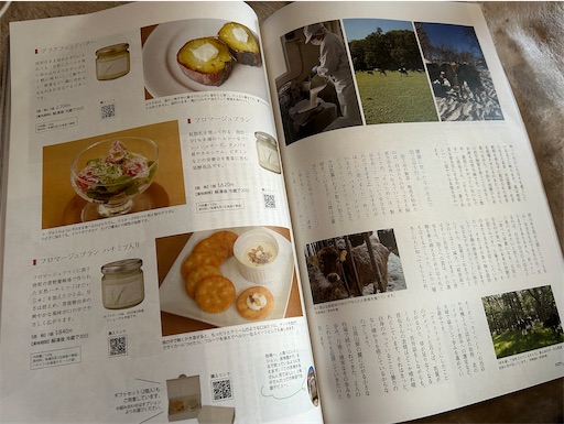f:id:hazakura60:20230524180949j:image
