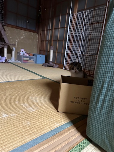 f:id:hazakura60:20230606230242j:image