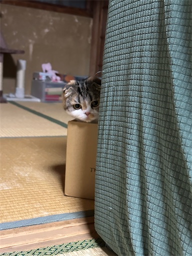 f:id:hazakura60:20230606230331j:image