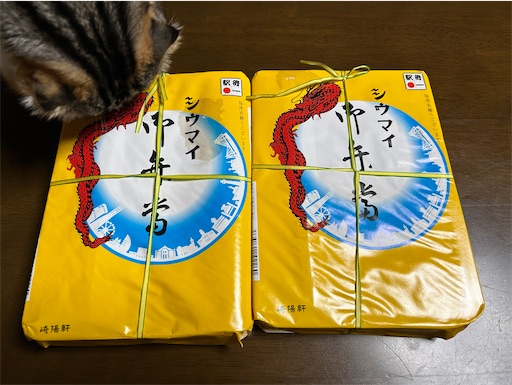 f:id:hazakura60:20230630184602j:image