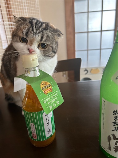 f:id:hazakura60:20230701181850j:image