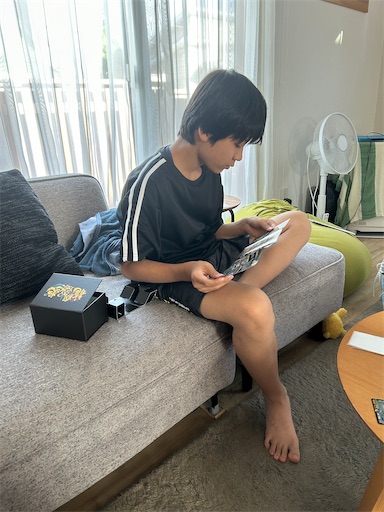 f:id:hazakura60:20230702185351j:image