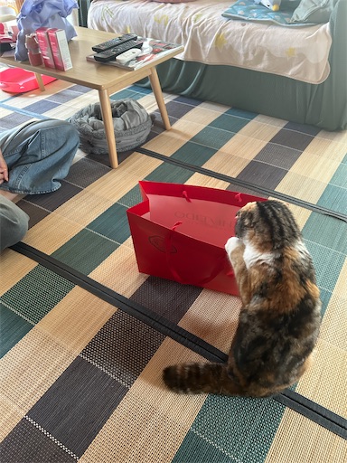 f:id:hazakura60:20230702190513j:image