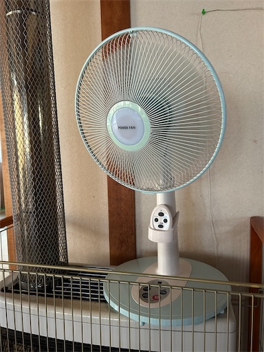 f:id:hazakura60:20230709185446j:image