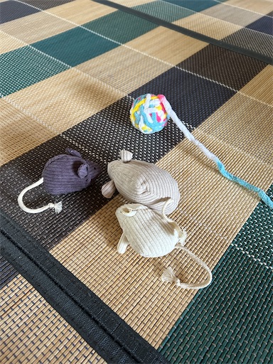 f:id:hazakura60:20230717175026j:image