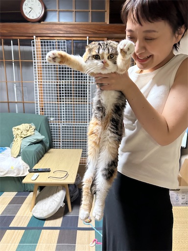 f:id:hazakura60:20230718200254j:image
