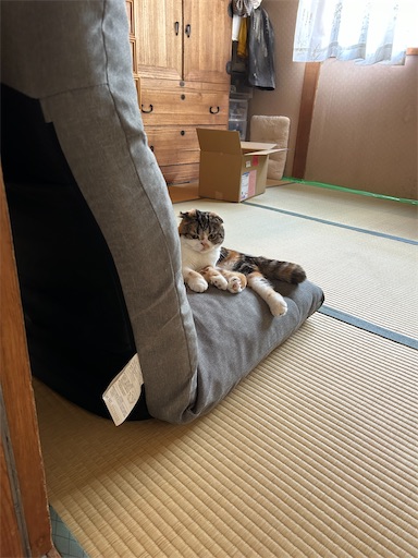 f:id:hazakura60:20230826151102j:image