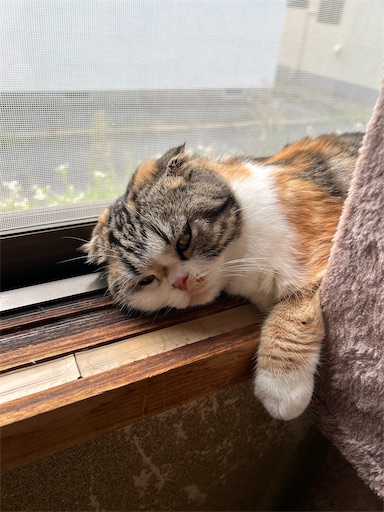 f:id:hazakura60:20230929213004j:image