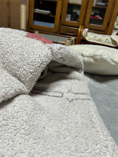 f:id:hazakura60:20240127232309j:image