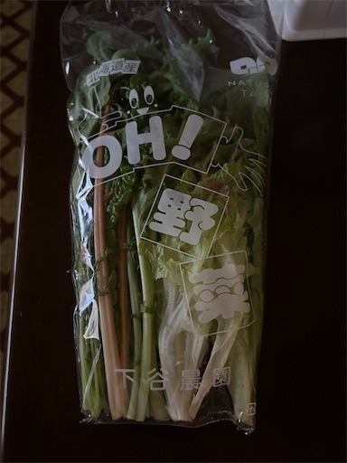 f:id:hazakura60:20240625191303j:image