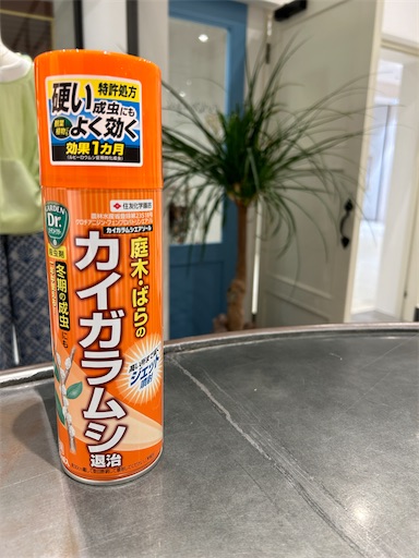 f:id:hazakura60:20240709212024j:image
