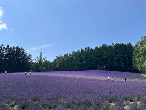 f:id:hazakura60:20240711210546j:image