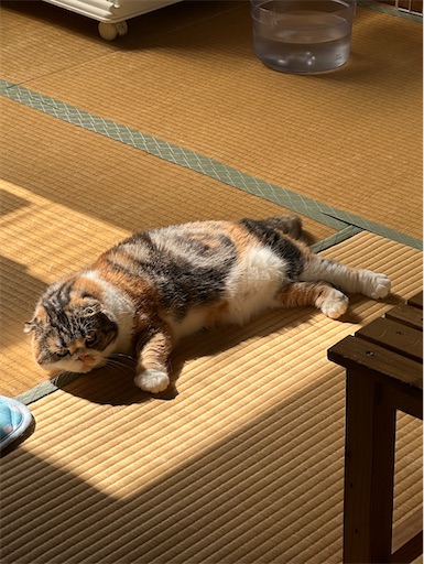 f:id:hazakura60:20240918184340j:image