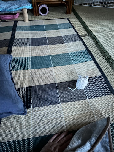 f:id:hazakura60:20240920184057j:image