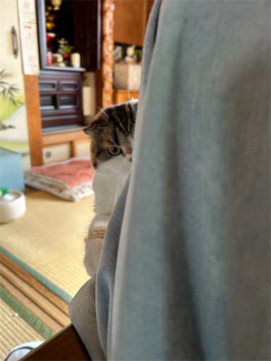 f:id:hazakura60:20240924180915j:image