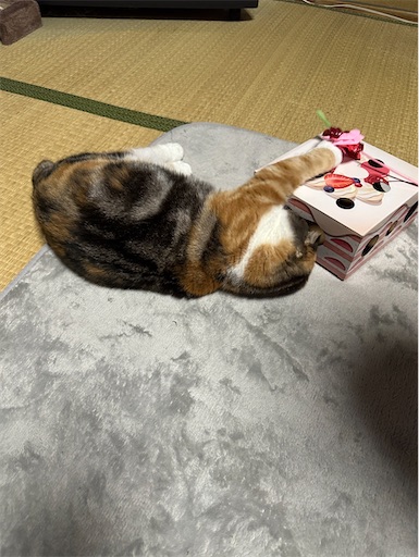f:id:hazakura60:20241006204520j:image