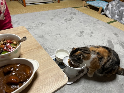 f:id:hazakura60:20241029193915j:image