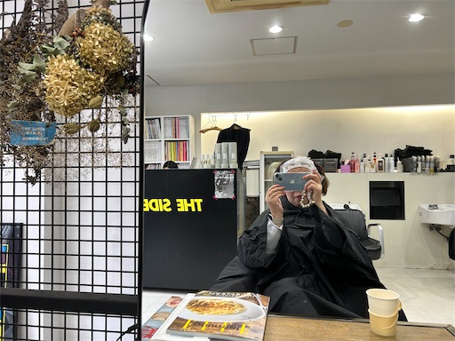f:id:hazakura60:20241113183856j:image