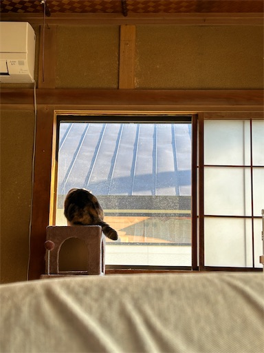 f:id:hazakura60:20241114191554j:image