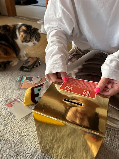 f:id:hazakura60:20241202211711j:image