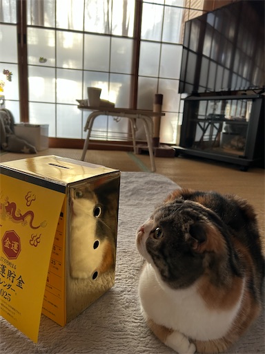 f:id:hazakura60:20241202212032j:image