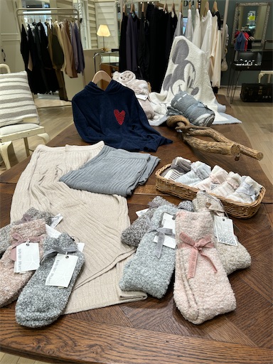 f:id:hazakura60:20241220221541j:image