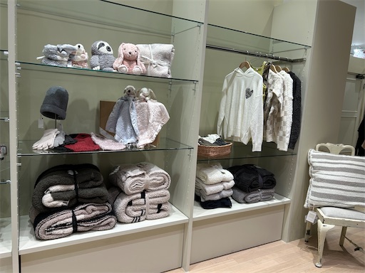 f:id:hazakura60:20241220221653j:image