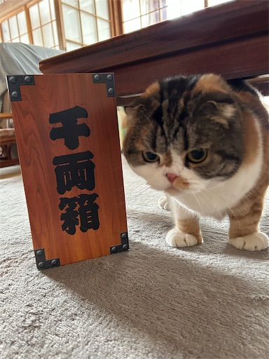 f:id:hazakura60:20241231205556j:image
