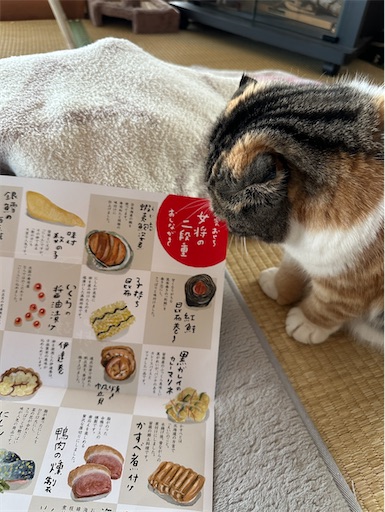 f:id:hazakura60:20250101163436j:image