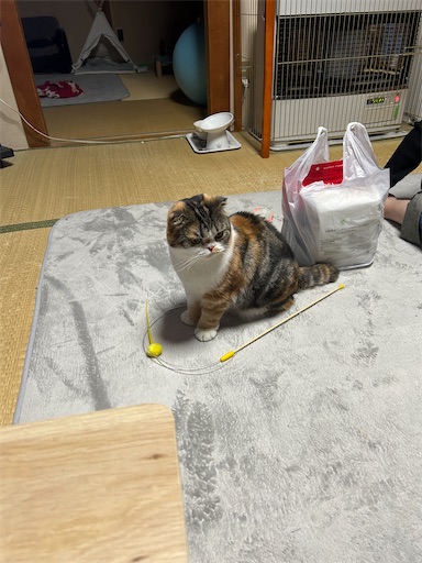 f:id:hazakura60:20250106210010j:image
